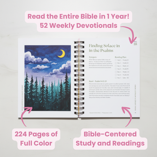 A Beautiful Year Bible Study