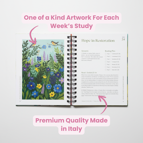 A Beautiful Year Bible Study